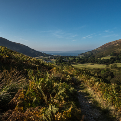 Arran 28 listing rebrand