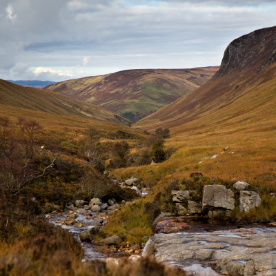 22181985498 95056a7622 o listing rebrand