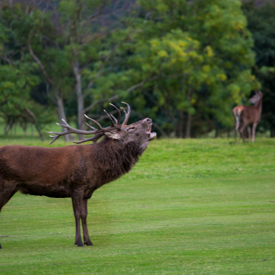 22122566146 e611cc182f o listing rebrand