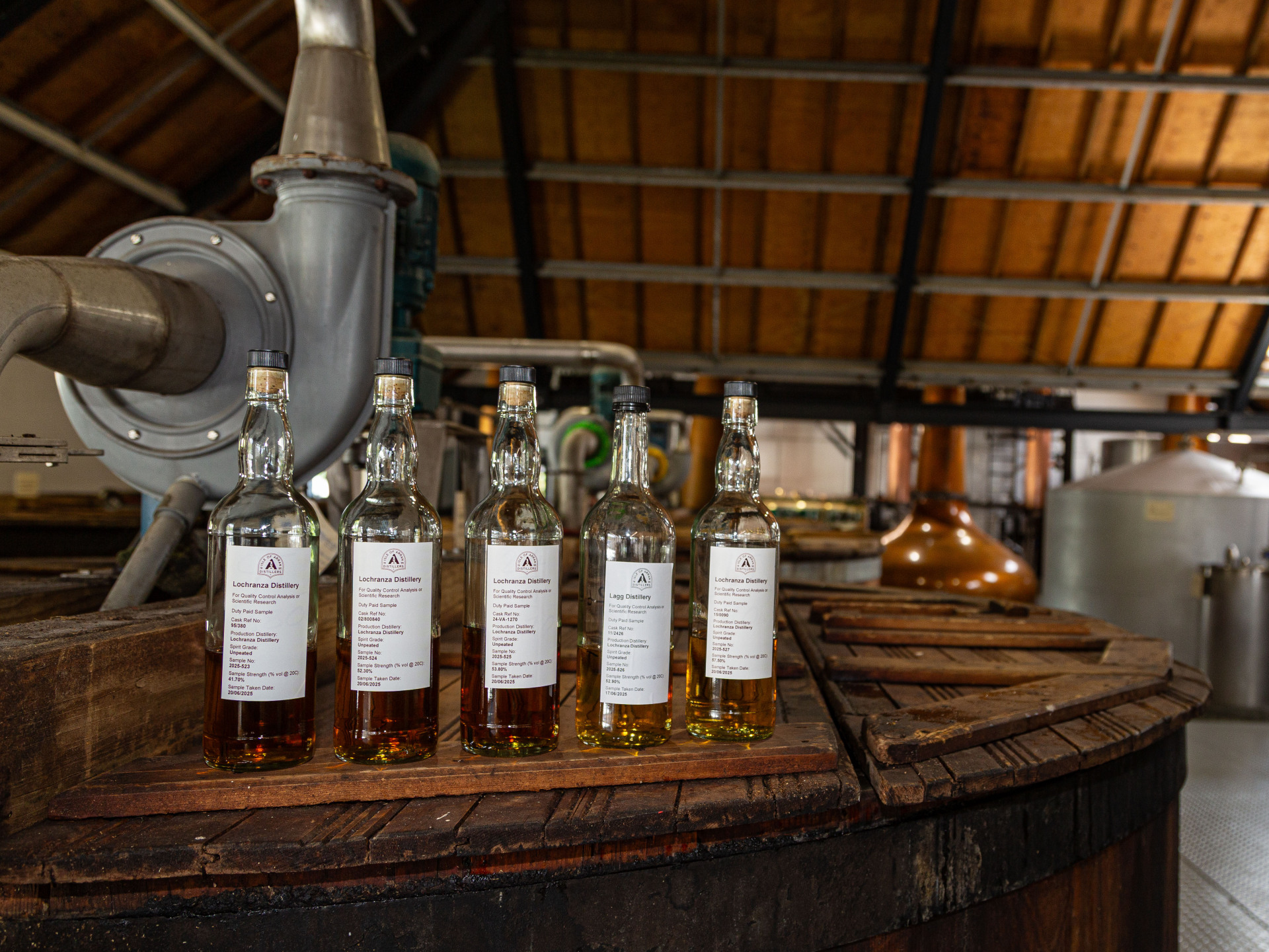 M m fest 2025 28 tour rebrand